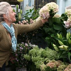 Florist Choice Summer Blooms