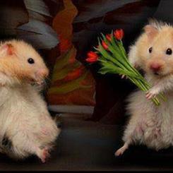 Romantic Valentine's Day Florist Choice Bouquet