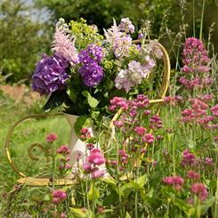 Florist Choice Best Of British 