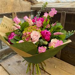 Blushing Blooms